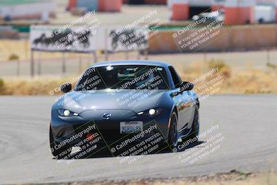 media/Mar-08-2025-Extreme Speed (Sat) [[4abb97269e]]/Blue/Turns 2  and  4 (Session 2)/